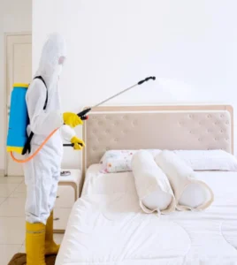 كيفية مكافحة البق